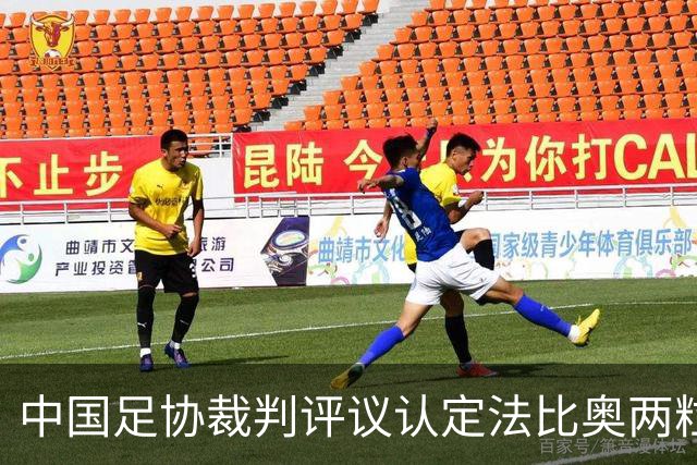 中国足协裁判评议认定法比奥两粒进球均为好球