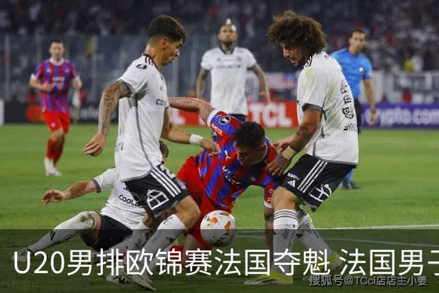 U20男排欧锦赛法国夺魁 法国男子排球赛季大满贯